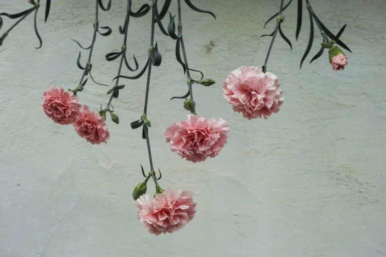 custom handmade paper flowers